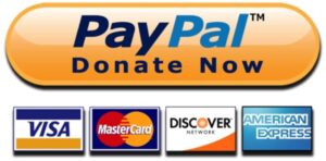 custom-paypal-button